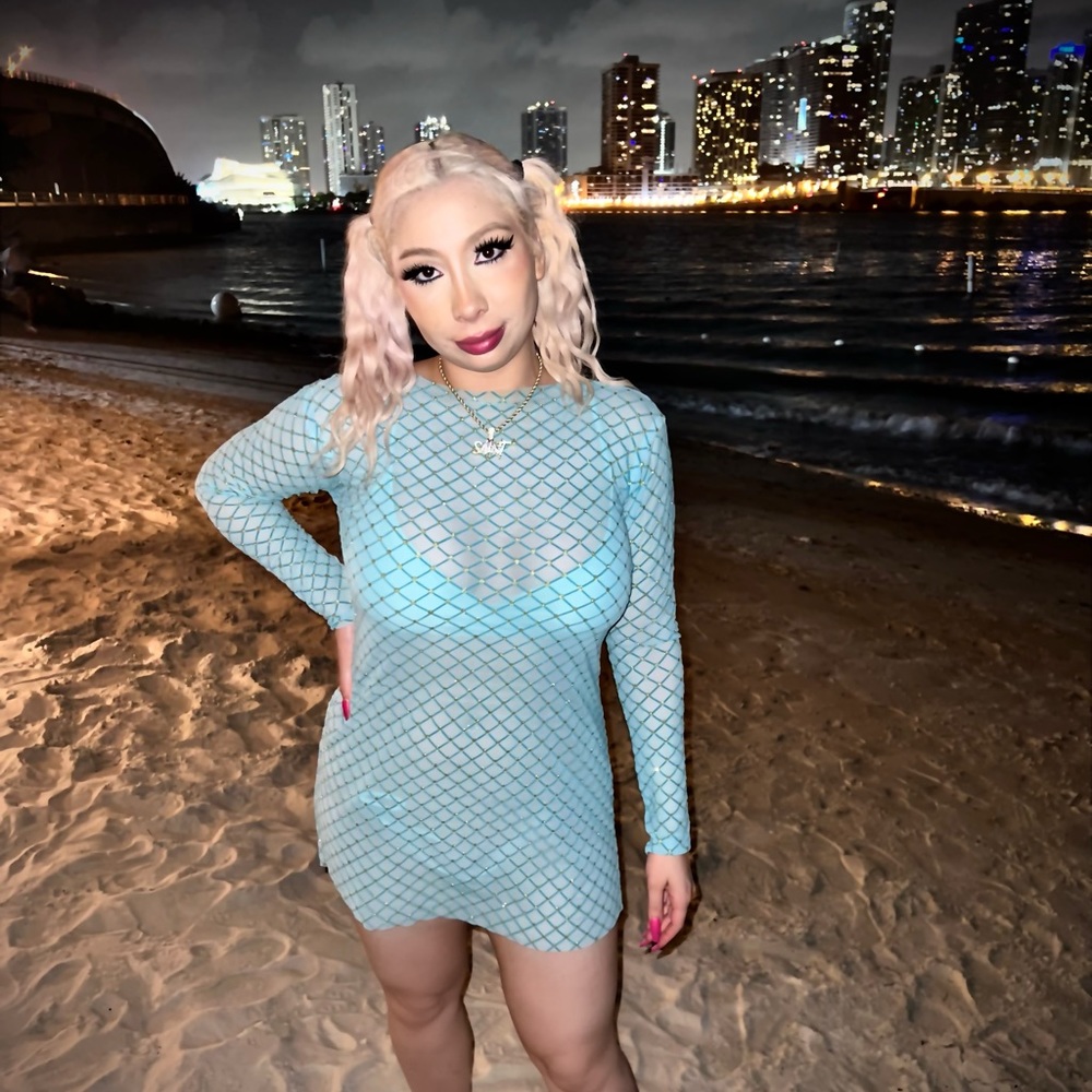 Sheer swimsuit cover up LARGE custom made by me worn once